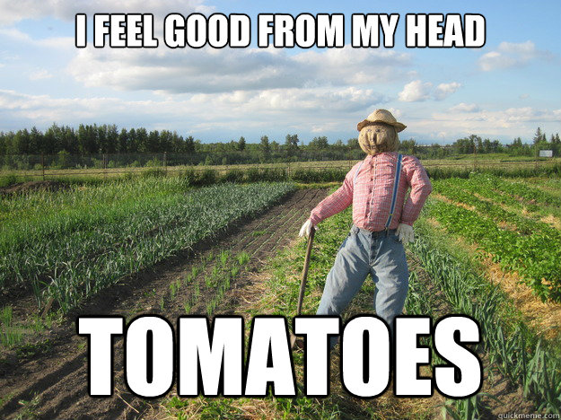 i feel good from my head tomatoes - Scarecrow
