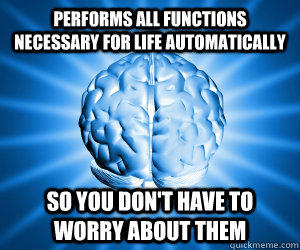 performs all functions necessary for life automatically so y - Good Guy Brain