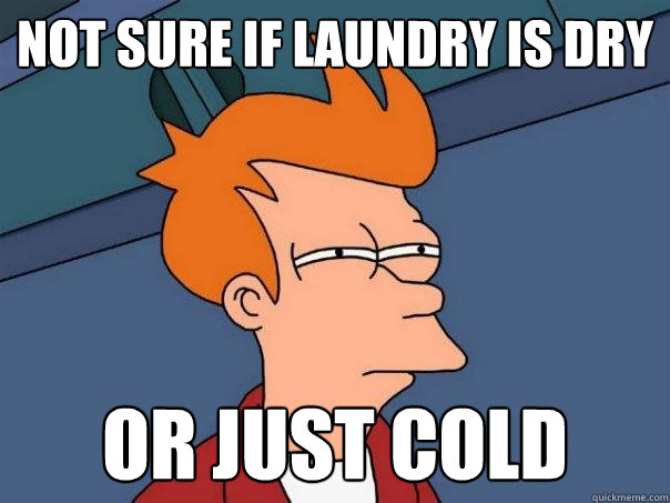 not sure if laundry is dry or just cold - Futurama Fry