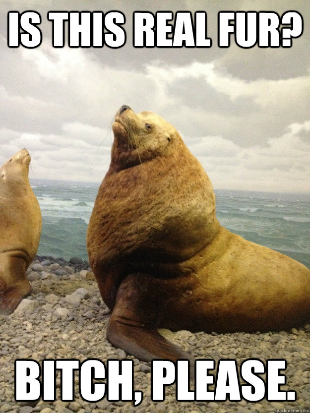 is this real fur bitch please - Fabulous Lion Seal