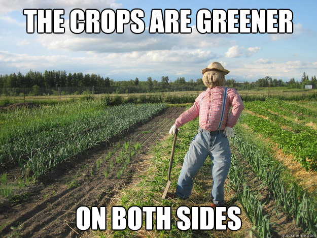 the crops are greener on both sides - Scarecrow