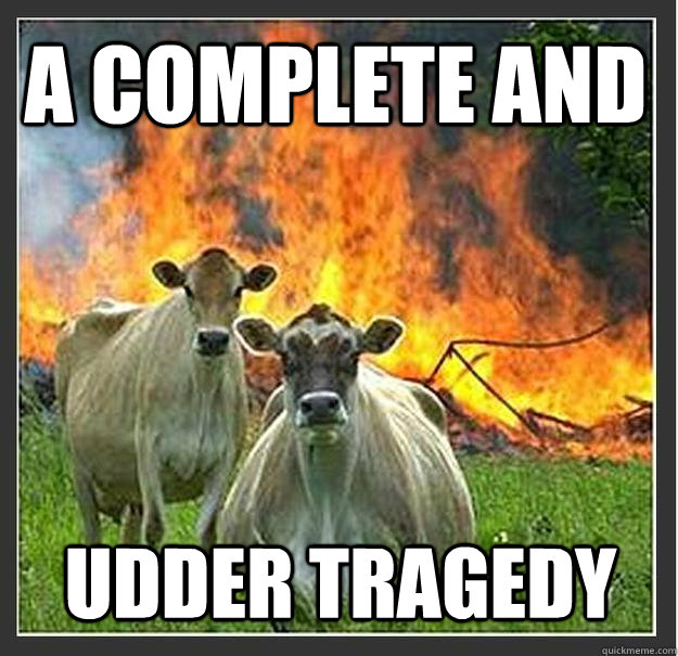 a complete and udder tragedy - Evil cows
