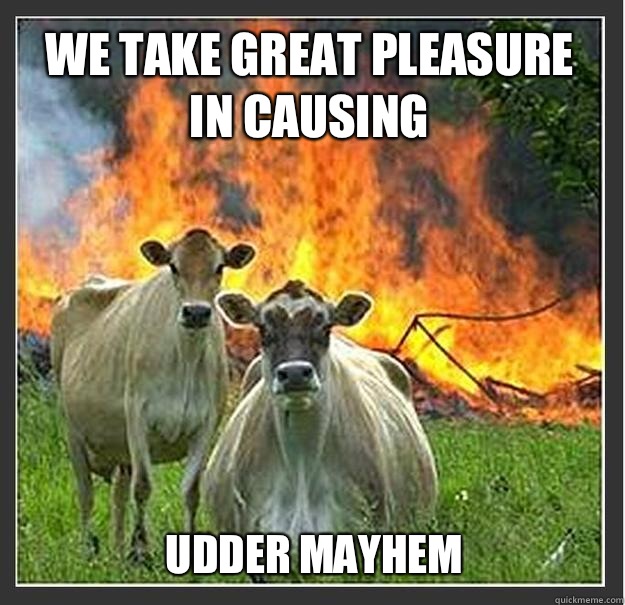 We take great pleasure in causing Udder mayhem - Evil cows
