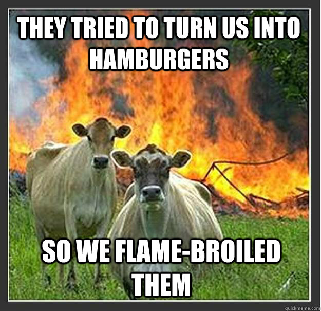 they tried to turn us into hamburgers so we flamebroiled th - Evil cows