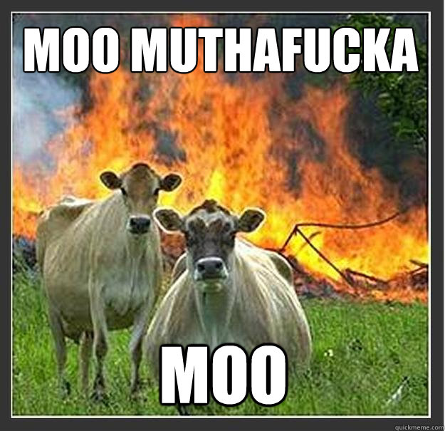 moo muthafucka moo - Evil cows