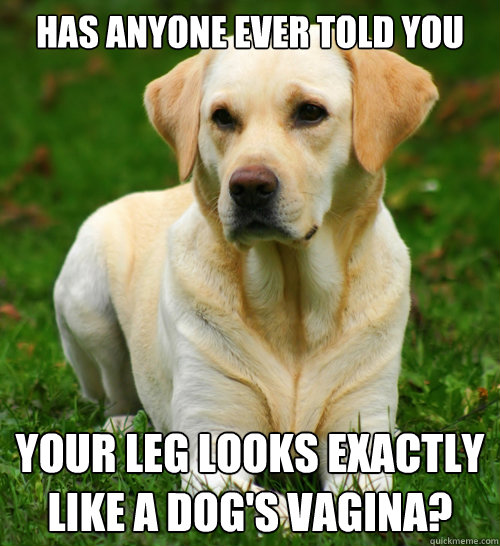 has anyone ever told you your leg looks exactly like a dogs - Dog Logic