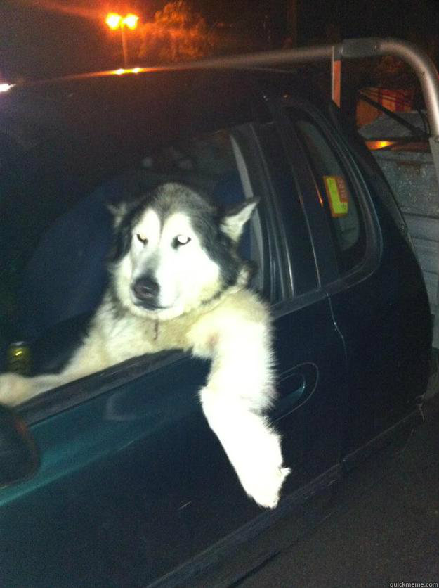 60 - Mean Dog