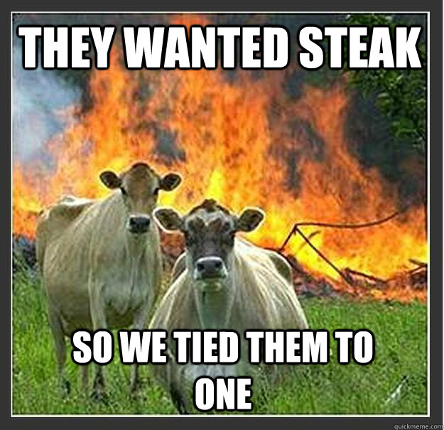 they wanted steak so we tied them to one - Evil cows