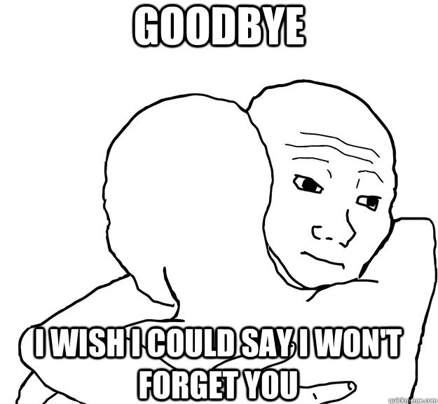 goodbye i wish i could say i wont forget you -