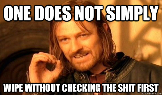 one does not simply wipe without checking the shit first - One does not simply beat skyrim