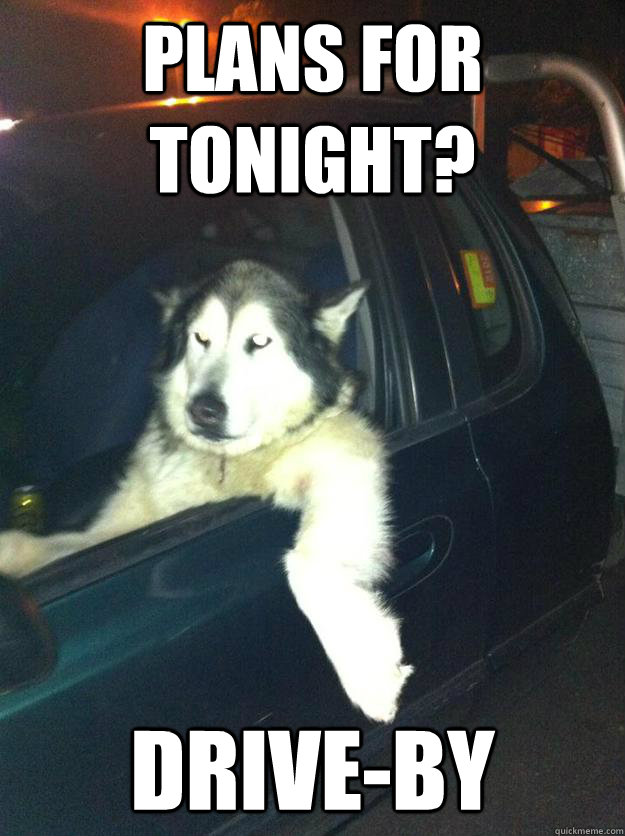 plans for tonight driveby - Mean Dog