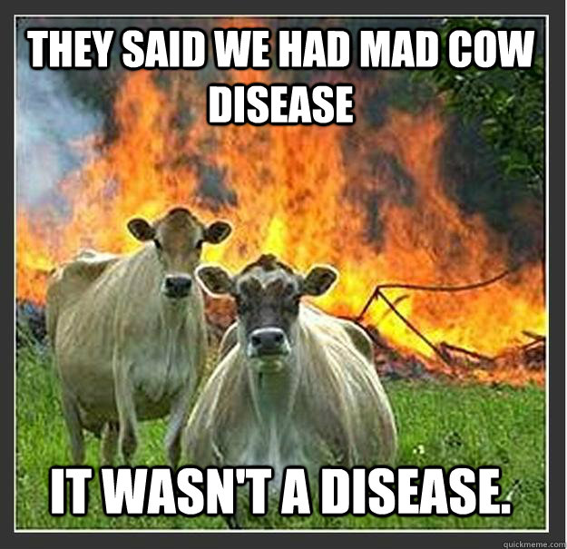 they said we had mad cow disease it wasnt a disease - Evil cows