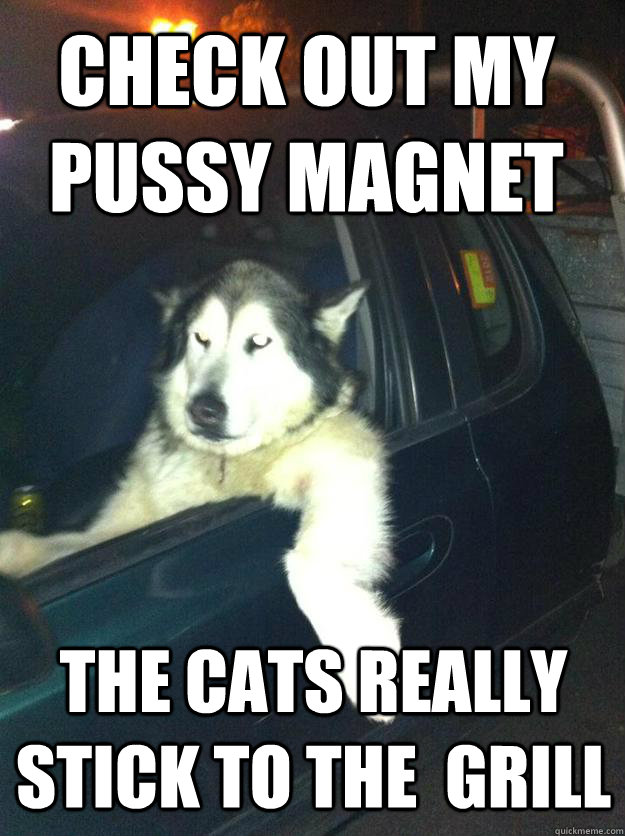 check out my pussy magnet the cats really stick to the gril - Mean Dog