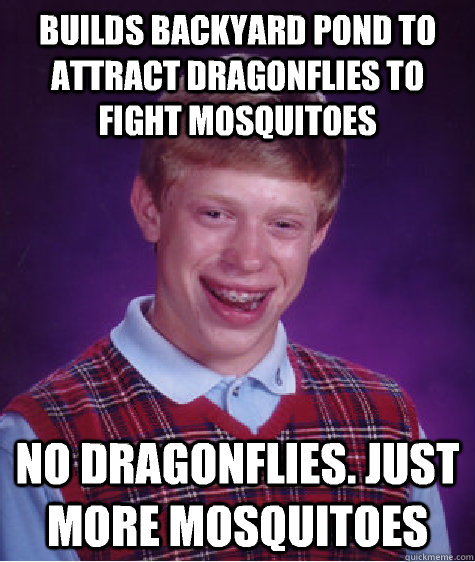 builds backyard pond to attract dragonflies to fight mosquit - Bad Luck Brian