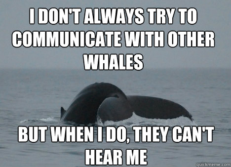 i dont always try to communicate with other whales but when -