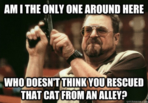 am i the only one around here who doesnt think you rescued - Am I the only one