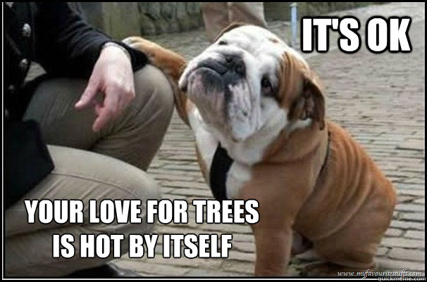 its ok your love for trees is hot by itself - Its ok