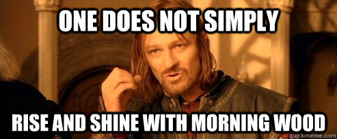 one does not simply rise and shine with morning wood - One Does Not Simply