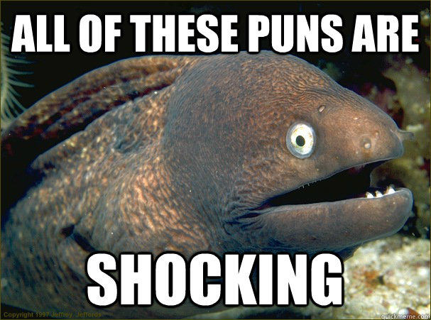 all of these puns are shocking - Bad Joke Eel
