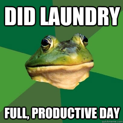 did laundry full productive day - Foul Bachelor Frog