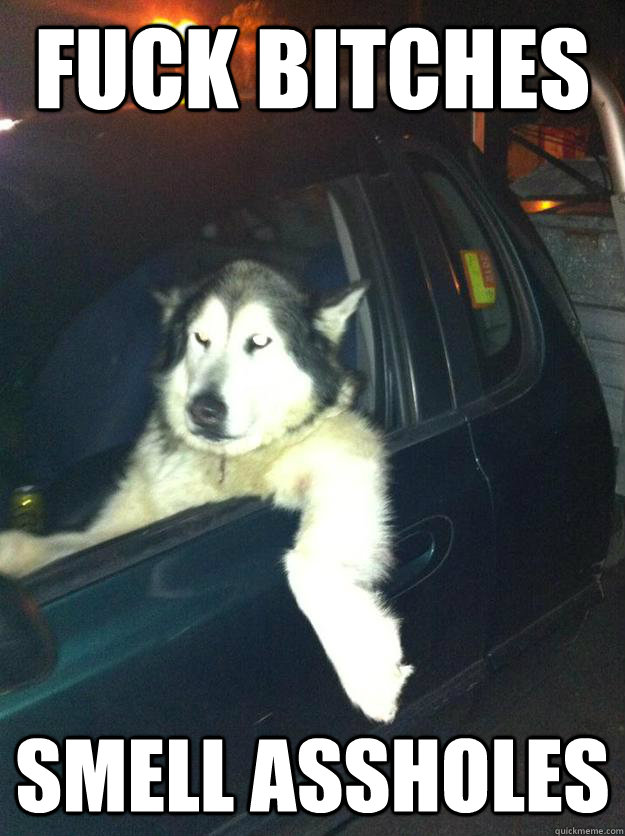 fuck bitches smell assholes - Mean Dog