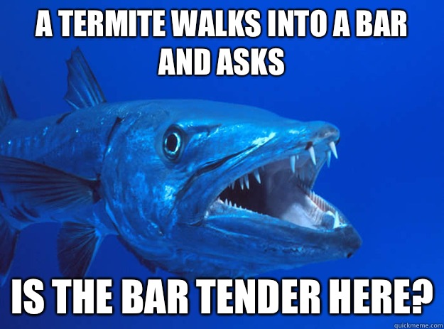A termite walks into a bar and asks Is the bar tender here - Bad Joke Barracuda