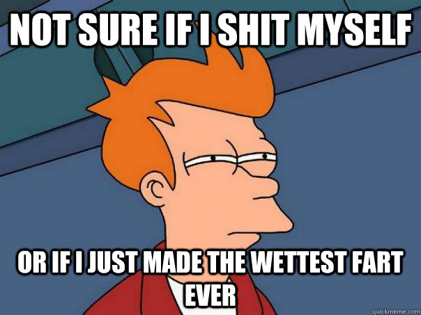 not sure if i shit myself or if i just made the wettest fart - Futurama Fry