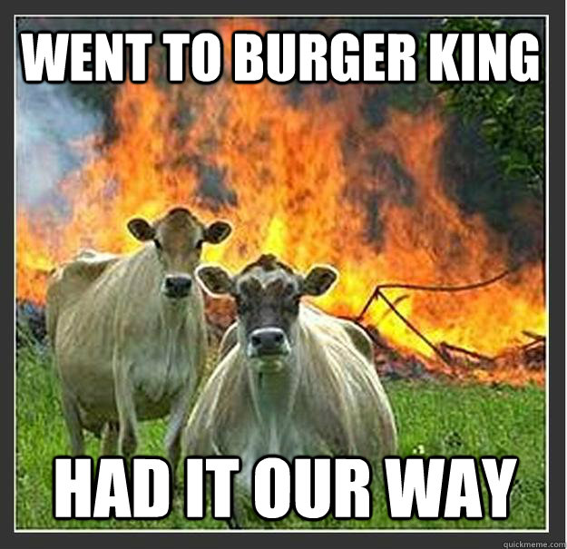 went to burger king had it our way - Evil cows