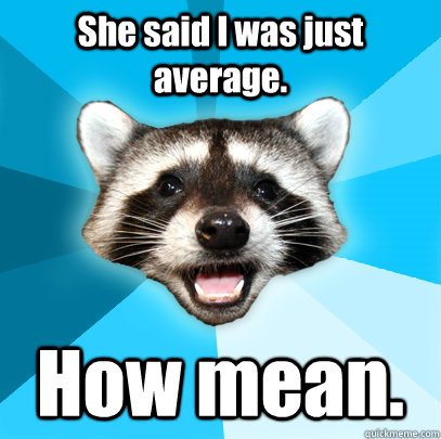 she said i was just average how mean - Lame Pun Coon