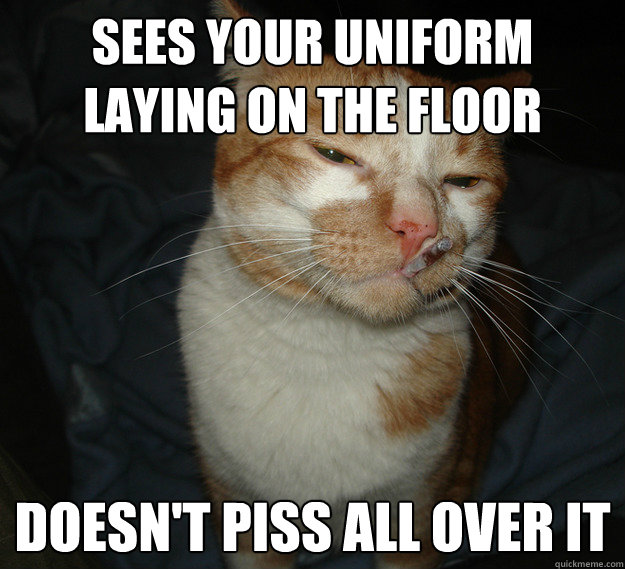 sees your uniform laying on the floor doesnt piss all over  - Cool Cat Craig
