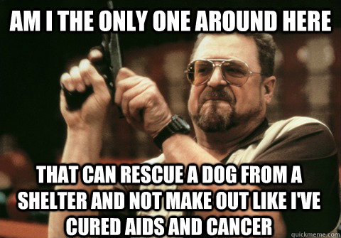 am i the only one around here that can rescue a dog from a s - Am I the only one