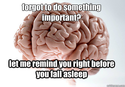 forgot to do something important let me remind you right be - Scumbag Brain