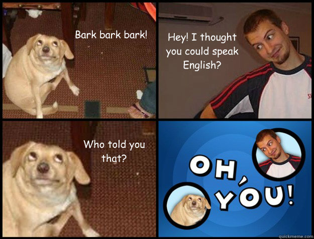 bark bark bark hey i thought you could speak english who -