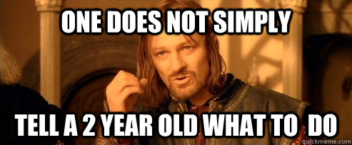 one does not simply tell a 2 year old what to do - One Does Not Simply
