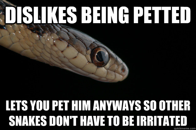 dislikes being petted lets you pet him anyways so other snak - Good Guy Snake