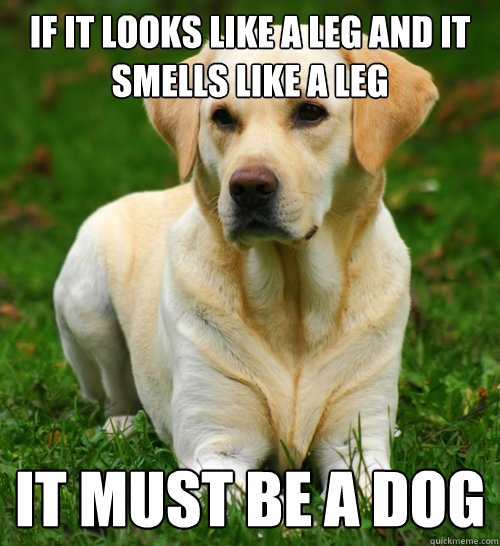 if it looks like a leg and it smells like a leg it must be a - Dog Logic