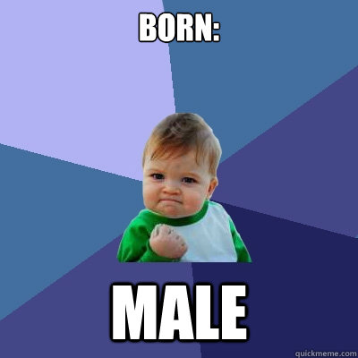 born male - Success Kid