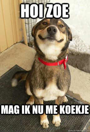 hoi zoe mag ik nu me koekje - Good Dog Greg