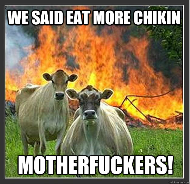 we said eat more chikin motherfuckers - Evil cows