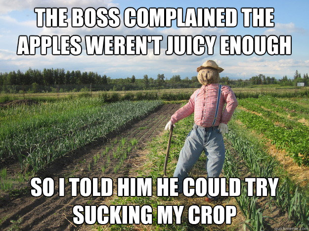 the boss complained the apples werent juicy enough so i tol - Scarecrow