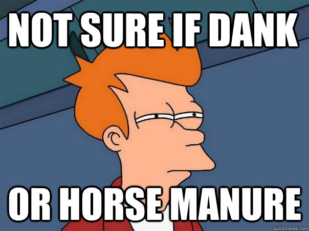 not sure if dank or horse manure - Futurama Fry