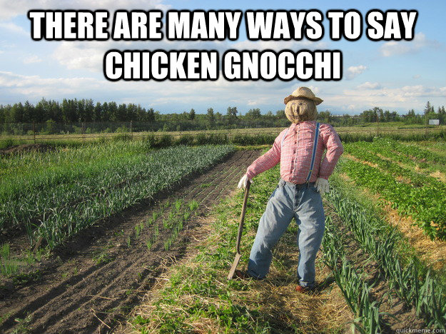 there are many ways to say chicken gnocchi - Scarecrow