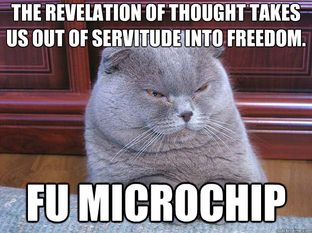 the revelation of thought takes us out of servitude into fre - Grumpy Cat