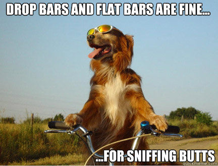 drop bars and flat bars are fine for sniffing butts - dogbike