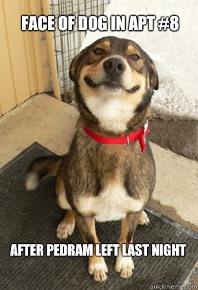 Face of dog in apt 8 After Pedram left last night - Good Dog Greg