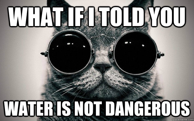 what if i told you water is not dangerous - Morpheus Cat Facts