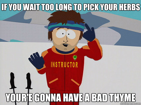 if you wait too long to pick your herbs youre gonna have a - Bad Time