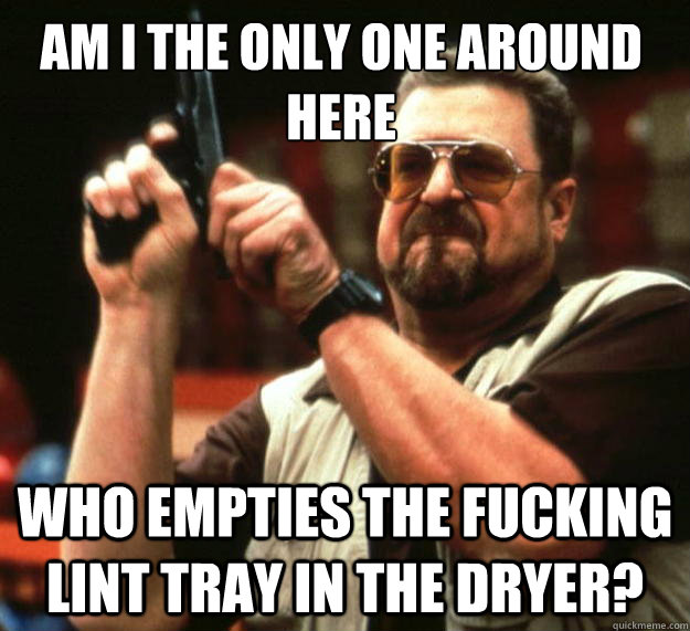am i the only one around here who empties the fucking lint t - Walter