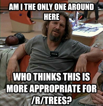 am i the only one around here who thinks this is more approp - The Dude