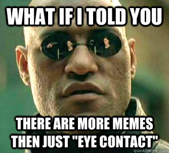what if i told you there are more memes then just eye conta - What if I told you